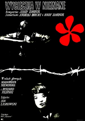 Wycieczka w nieznane - Polish Movie Poster (thumbnail)
