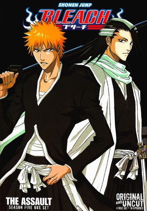 &quot;Bleach&quot; - DVD movie cover (thumbnail)