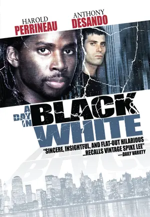 A Day in Black and White Poster