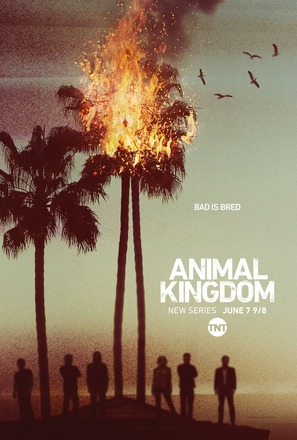 &quot;Animal Kingdom&quot; - Movie Poster (thumbnail)