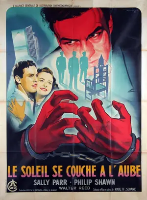 The Sun Sets at Dawn Poster