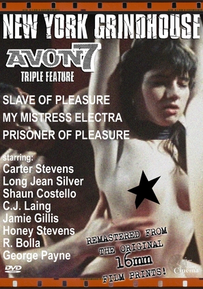 Prisoner of Pleasure - DVD movie cover (thumbnail)