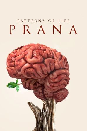 Patterns of life: Prana - International Movie Poster (thumbnail)