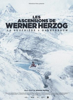 La Soufri&egrave;re - Warten auf eine unausweichliche Katastrophe - French Movie Poster (thumbnail)