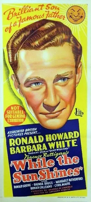 While the Sun Shines Poster