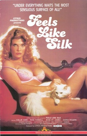 Feels Like Silk - Movie Poster (thumbnail)