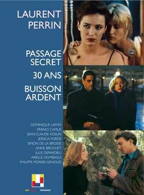 Passage secret - French DVD movie cover (thumbnail)
