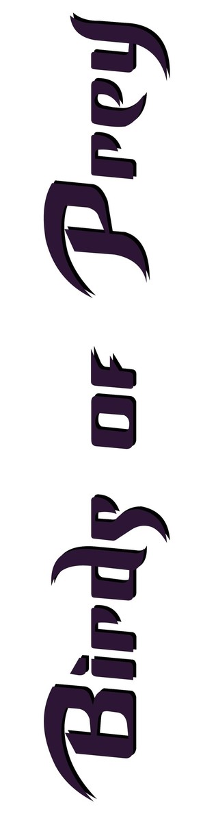 &quot;Birds of Prey&quot; - Logo (thumbnail)