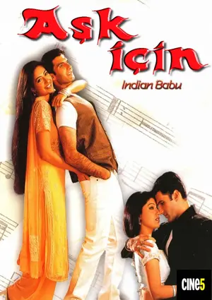 Indian Babu Cover