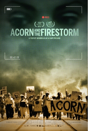 ACORN and the Firestorm - Movie Poster (thumbnail)