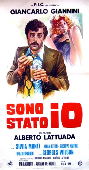 Sono stato io! Poster