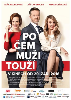 Po cem muzi touz&iacute; - Czech Movie Poster (thumbnail)