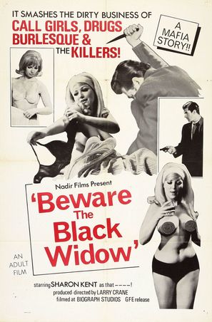 Beware the Black Widow - Movie Poster (thumbnail)
