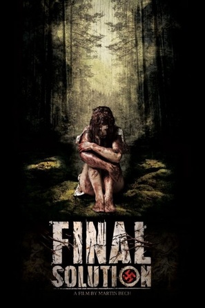 The Final Solution - Movie Poster (thumbnail)