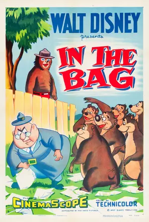 In the Bag Poster
