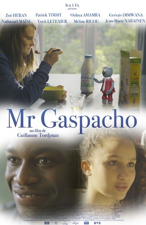 Mr Gaspacho - French Movie Poster (thumbnail)