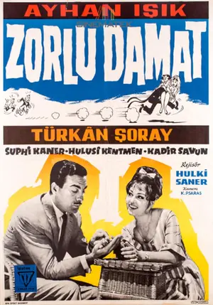 Zorlu damat Poster