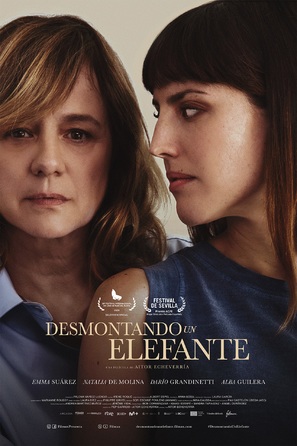 Desmontando un elefante - Spanish Movie Poster (thumbnail)