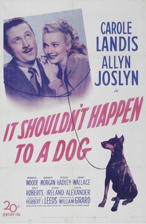 It Shouldn&#039;t Happen to a Dog - Movie Poster (thumbnail)
