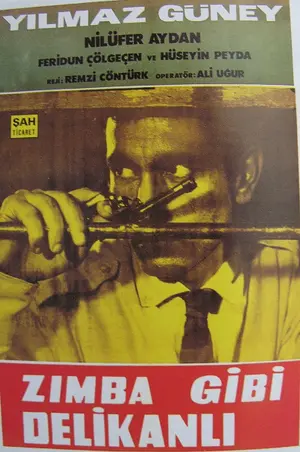 Zimba gibi delikanli Poster