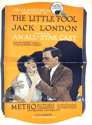 The Little Fool Poster