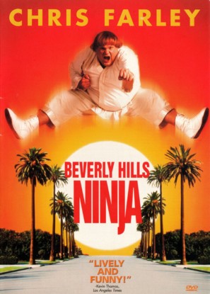 Beverly Hills Ninja - DVD movie cover (thumbnail)