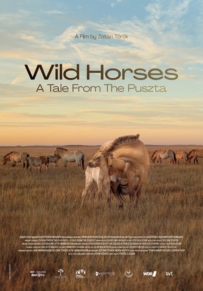 Wild Horses: A Tale from the Puszta - International Movie Poster (thumbnail)