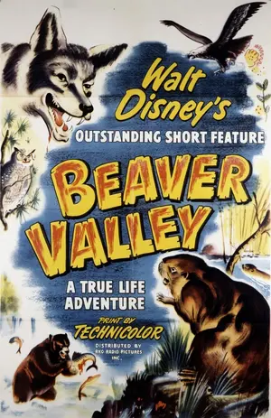 Beaver Valley Poster