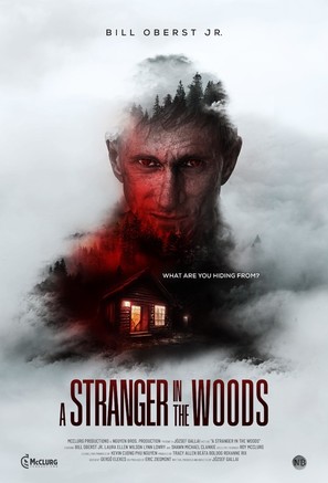 A Stranger in the Woods - Movie Poster (thumbnail)