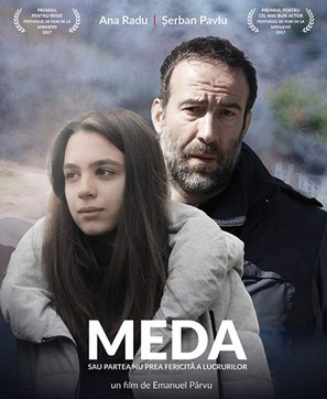 Meda sau Partea nu prea fericita a lucrurilor - Romanian Movie Cover (thumbnail)