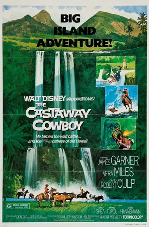 The Castaway Cowboy Poster