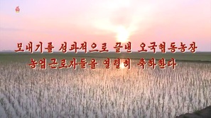 Monaegileul seong-gwajeog-eulo kkeutnaen ogughyeobdongnongjang nong-eobgeunlojadeul-eul yeollyeolhi chughahanda - North Korean Logo (thumbnail)