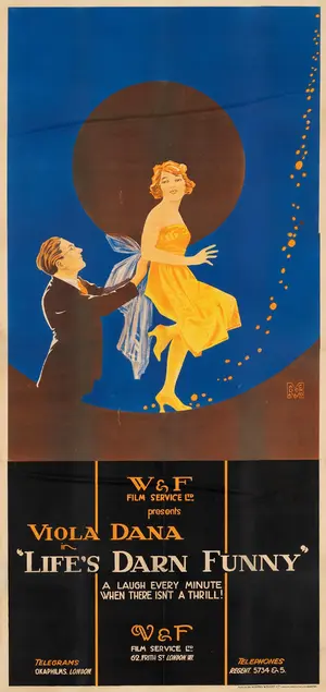 Life's Darn Funny Poster