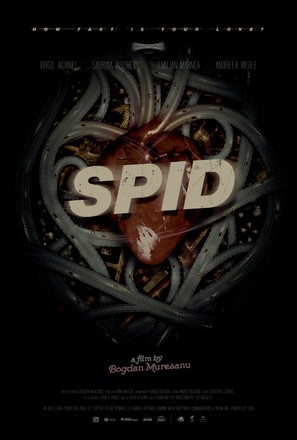 Spid - Romanian Movie Poster (thumbnail)