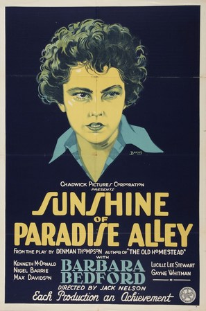 Sunshine of Paradise Alley - Movie Poster (thumbnail)