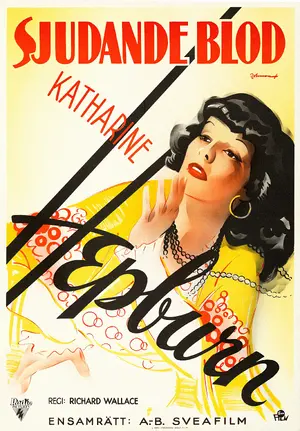 The Little Minister Poster