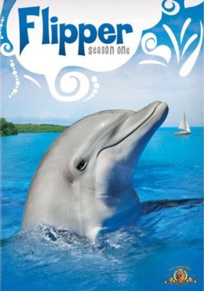 &quot;Flipper&quot; - DVD movie cover (thumbnail)