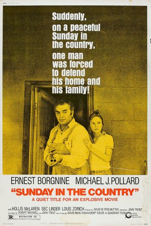 Sunday in the Country - Movie Poster (thumbnail)