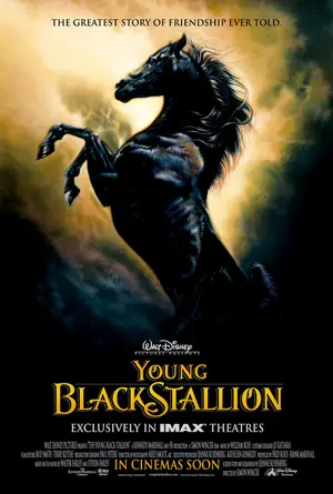 The Young Black Stallion Poster