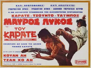 Luo ye fei dao Poster