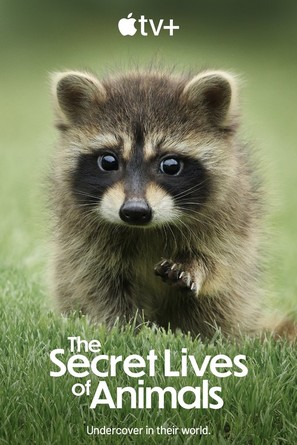 &quot;The Secret Lives of Animals&quot; - Movie Poster (thumbnail)