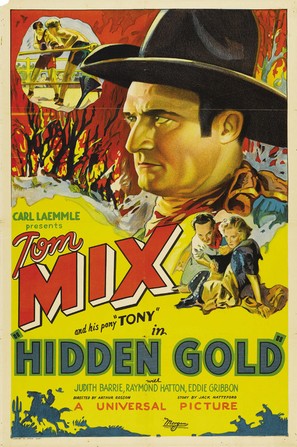 Hidden Gold - Movie Poster (thumbnail)