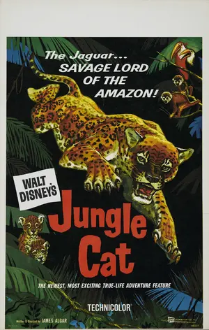 Jungle Cat Poster