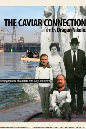 Kavijar koneksn - Movie Poster (thumbnail)