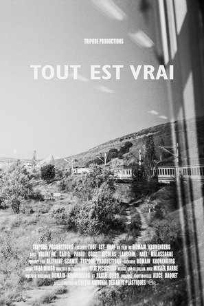 Tout est vrai - French Movie Poster (thumbnail)