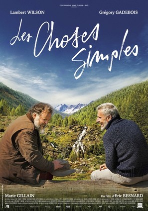 Les Choses Simples - French Movie Poster (thumbnail)