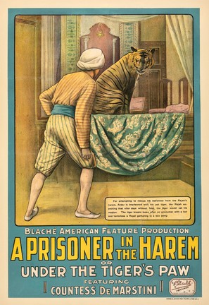 A Prisoner in the Harem - Movie Poster (thumbnail)