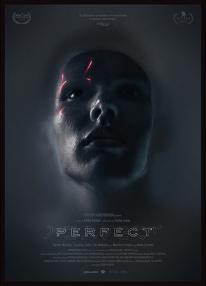 Perfect - Movie Poster (thumbnail)