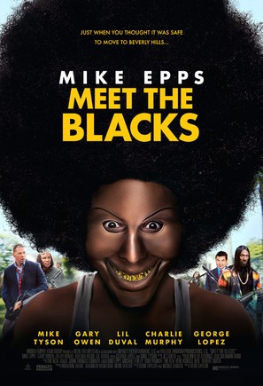 Meet the Blacks - Movie Poster (thumbnail)