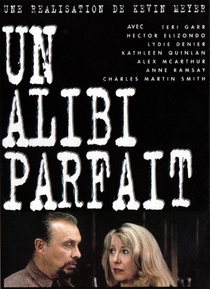 Perfect Alibi - French Movie Cover (thumbnail)